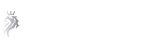 PALAZZOBET